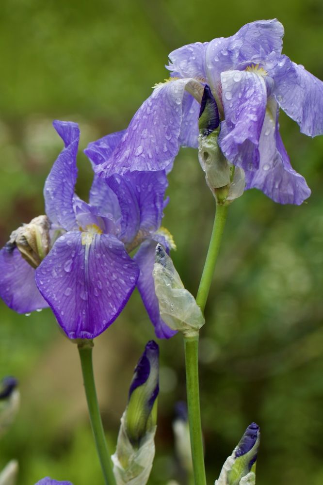 Photograph by Елена Ковалева