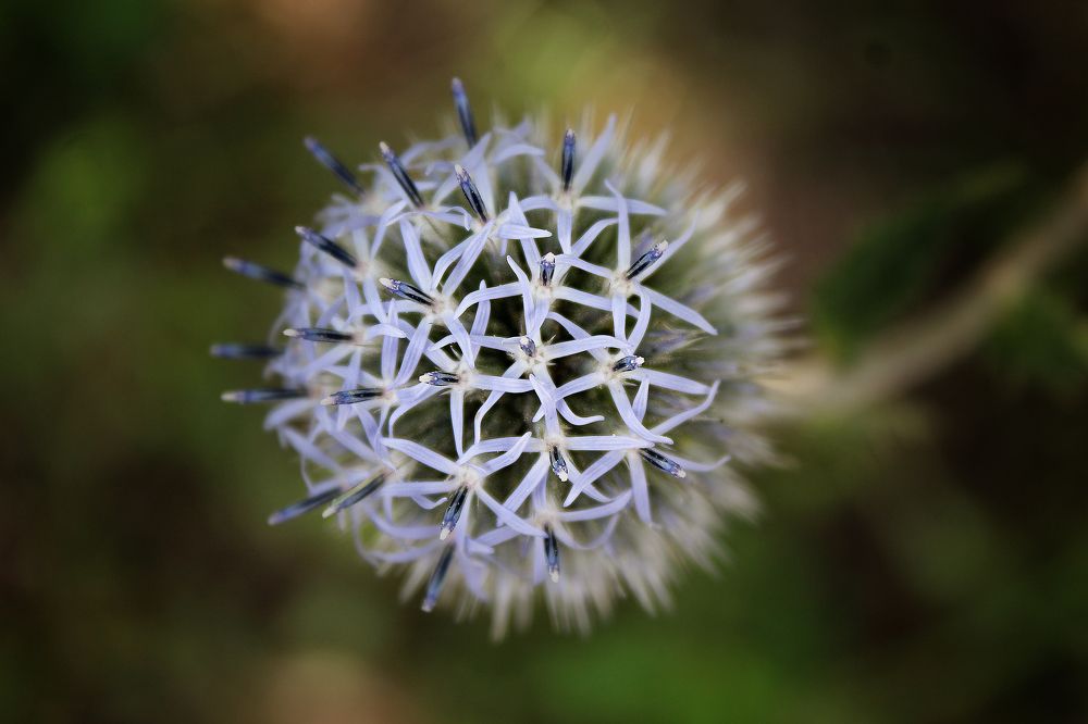 Photograph by Vitaliy Saposhnikov