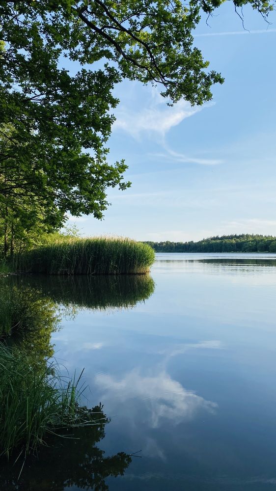 Фотография автора Abdullatif Badnjki