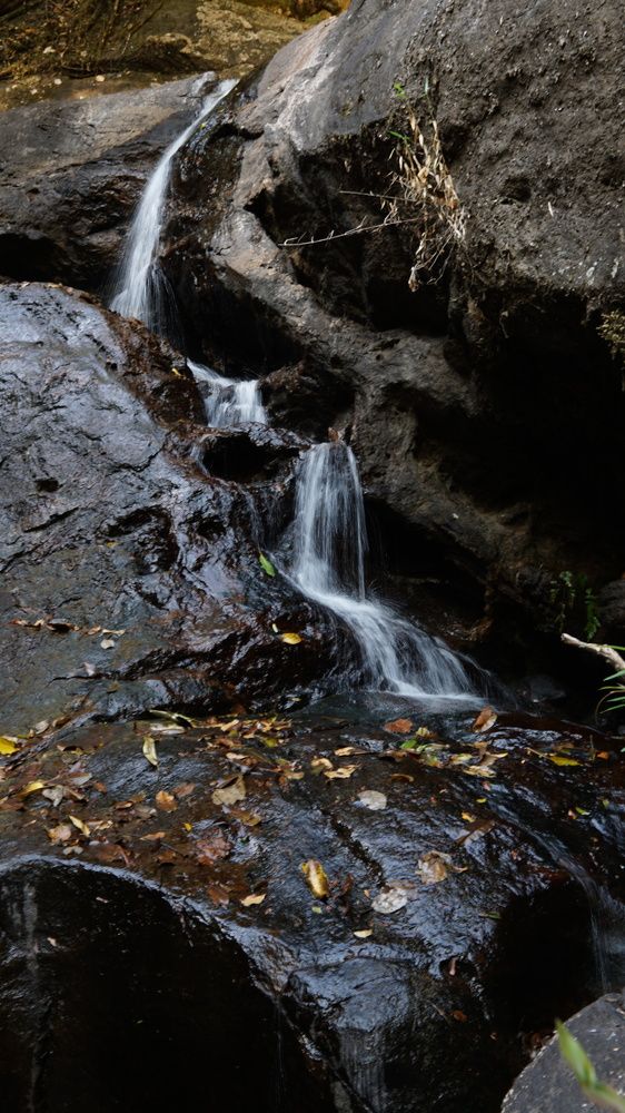 Photograph by Muhammed Junaid A P