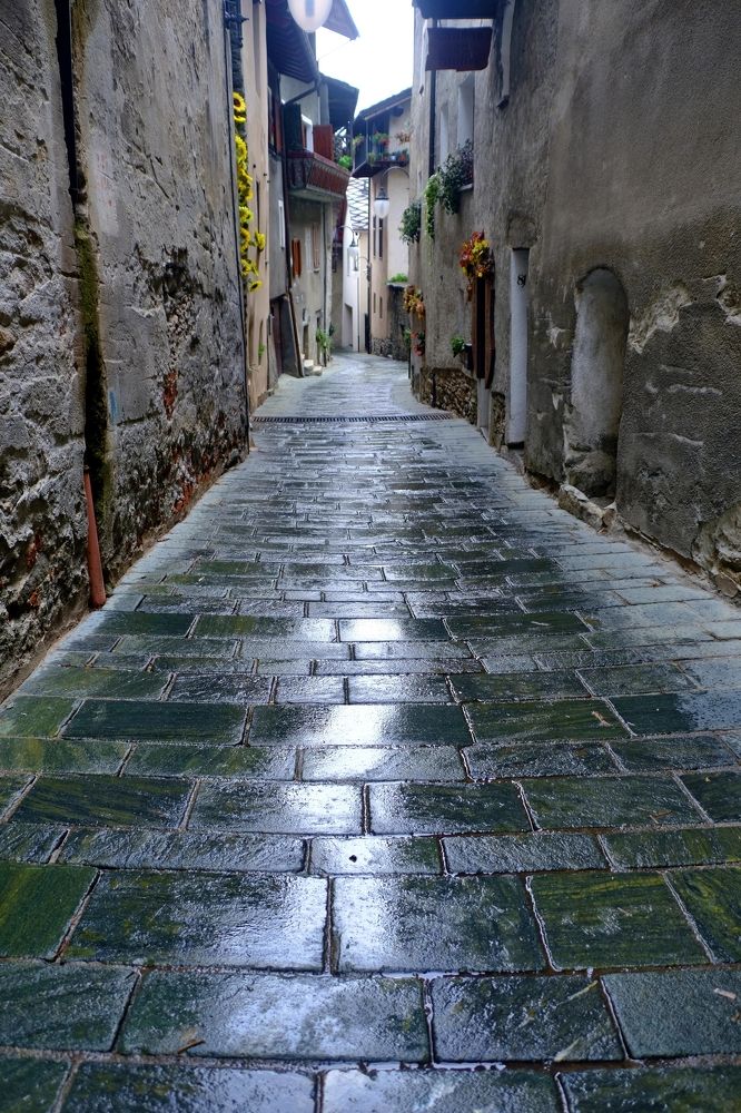 Фотография автора Dmitry