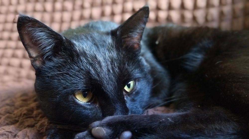 Photograph by Ольга Заповедная