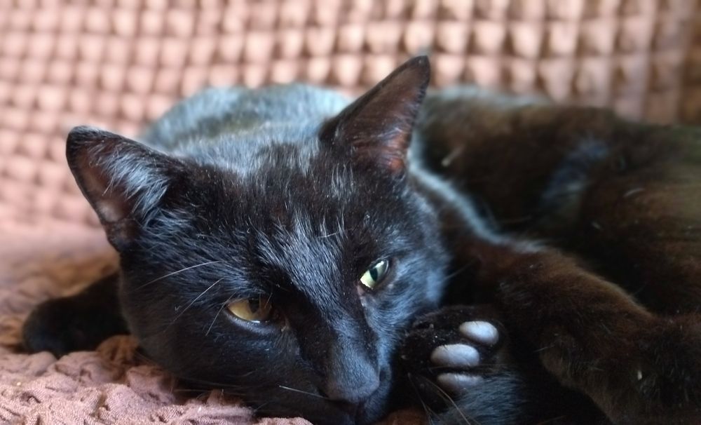 Photograph by Ольга Заповедная