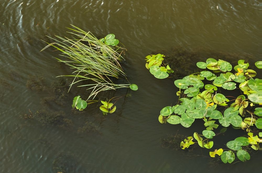 Photograph by Alexander Popov