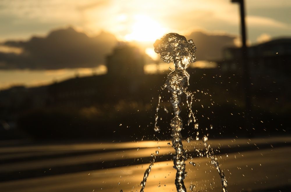 Photograph by Alexander Popov