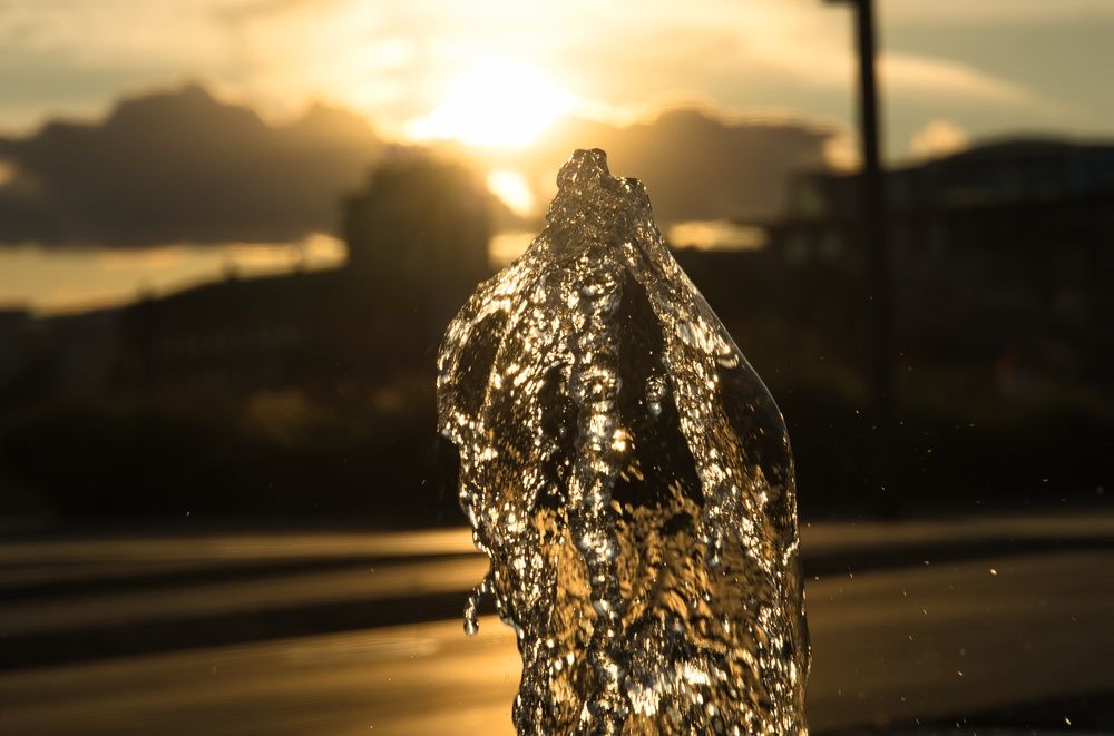 Photograph by Alexander Popov