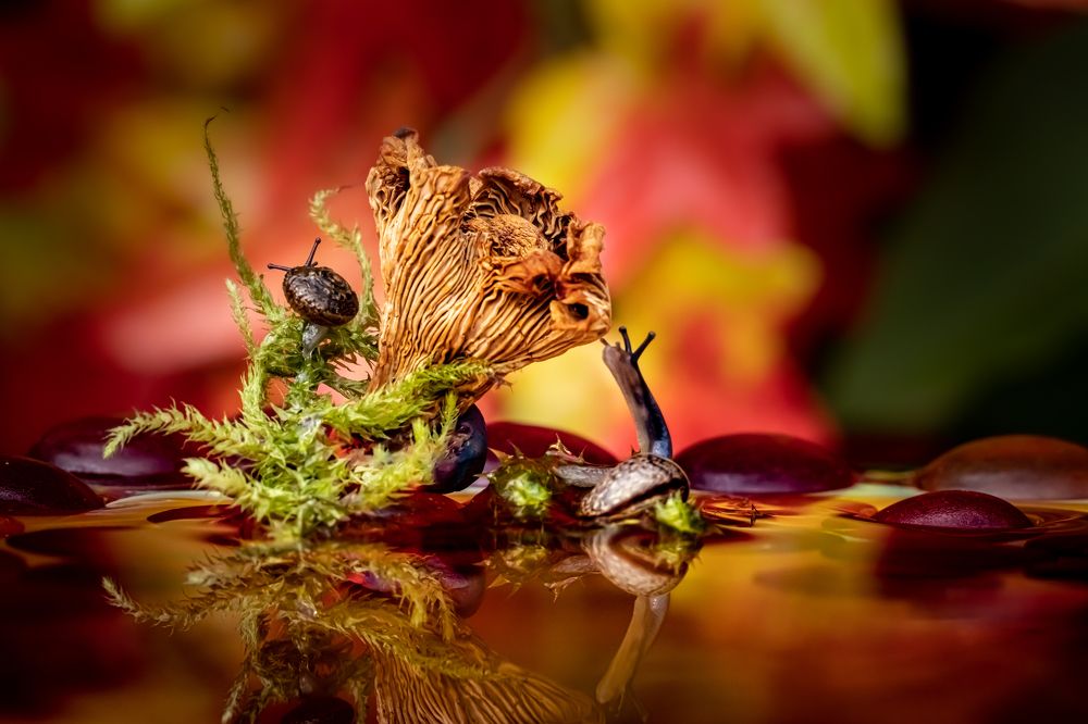 Photograph by Николай Фонарёв