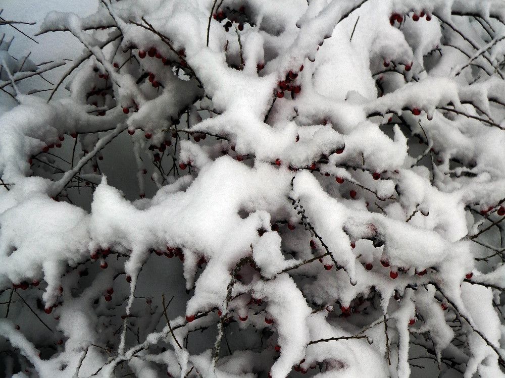 Photograph by Александр Зарх