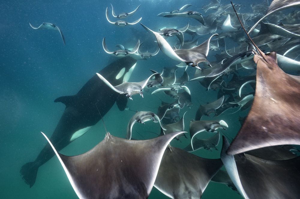 Photograph by Merche Llobera