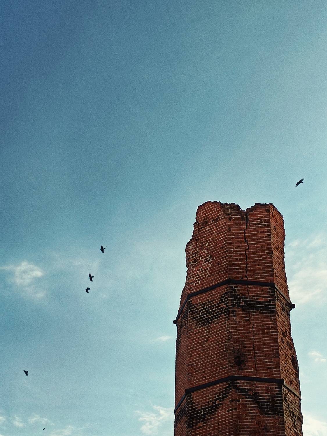 Photo #9515377