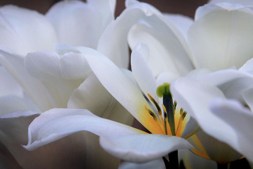 Фотография автора Кулешов Сергей