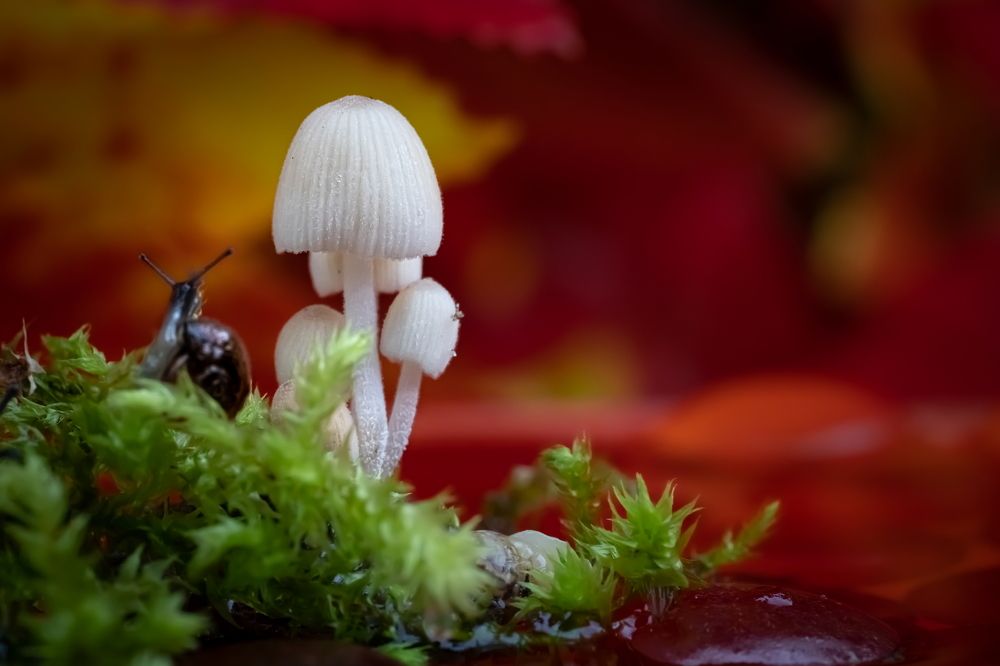 Photograph by Николай Фонарёв