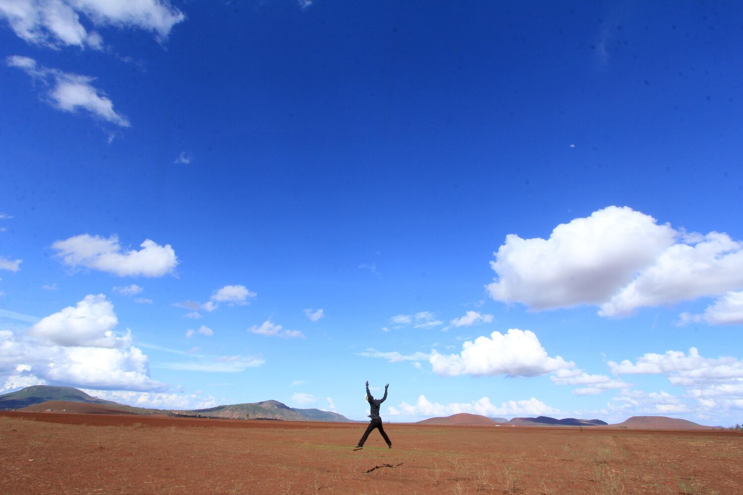 Photo #9515417