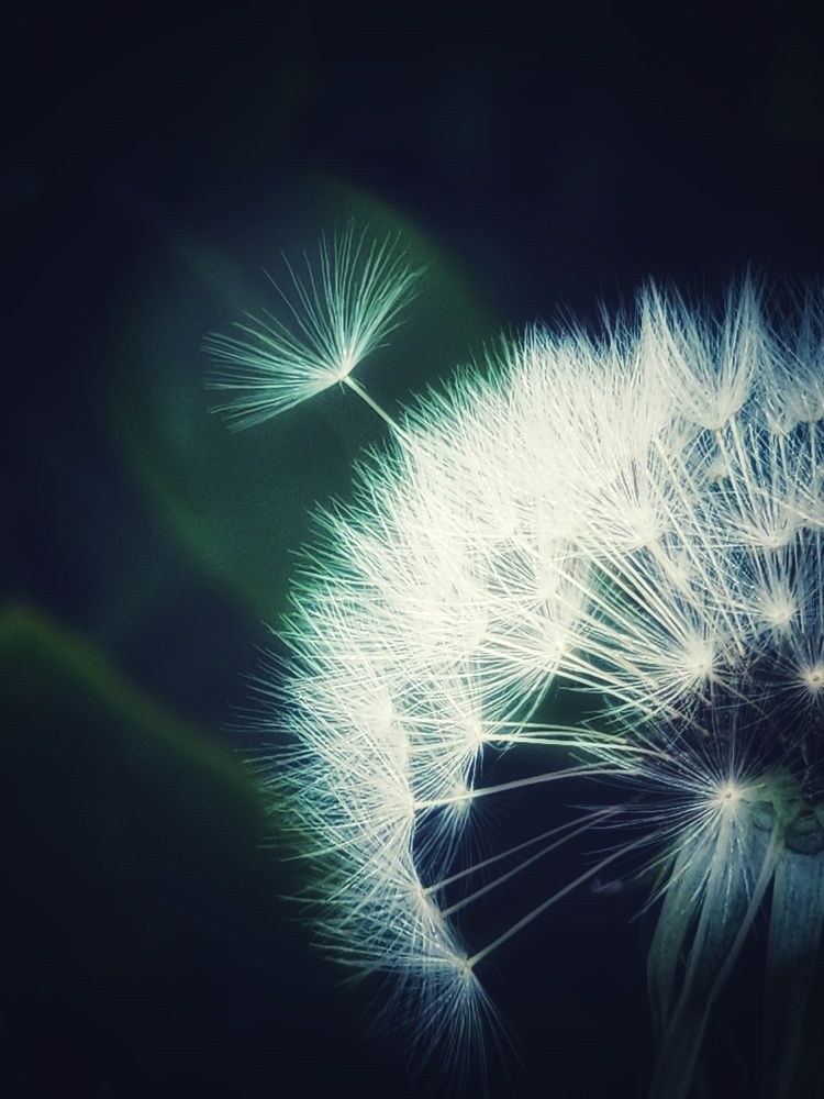 Фотография автора reyhane  khavaninzadeh