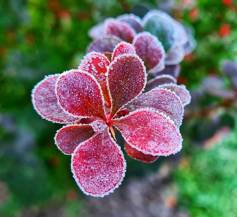 Photograph by Оксана Новикова