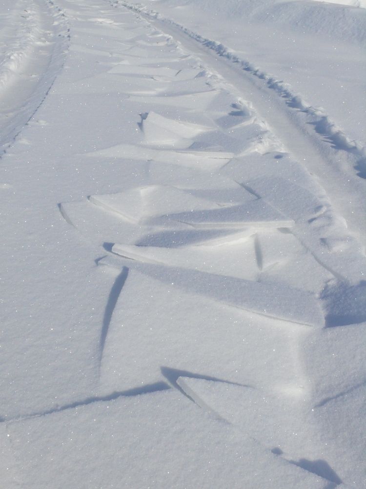 Photograph by Елена Попова