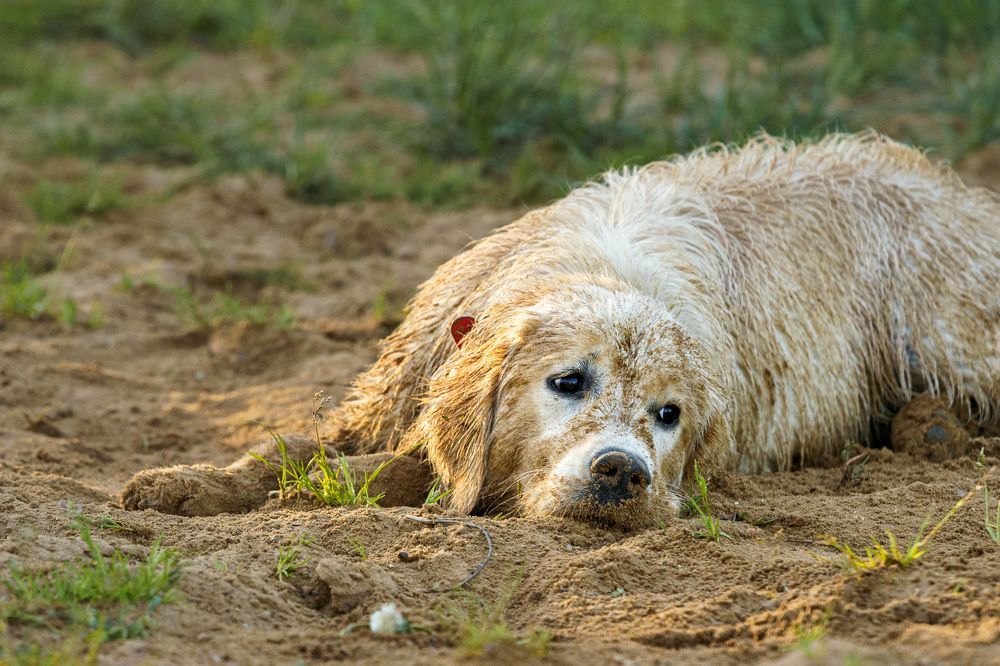 Photograph by Татьяна