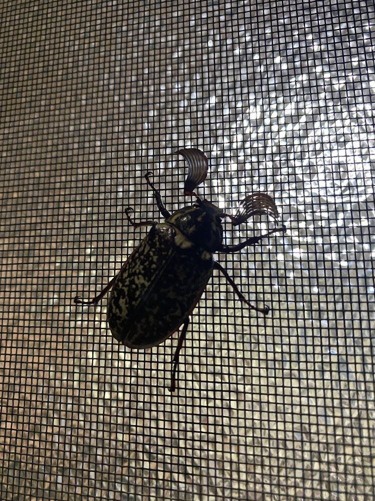 Photograph by Елена Гущина