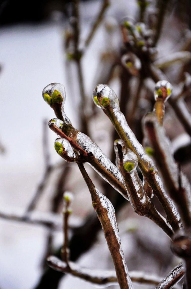 Photograph by Мария Зыкова