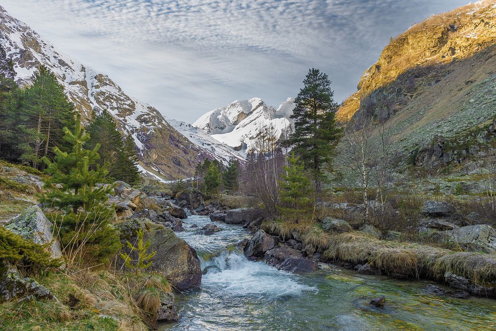 Photograph by Anatoly