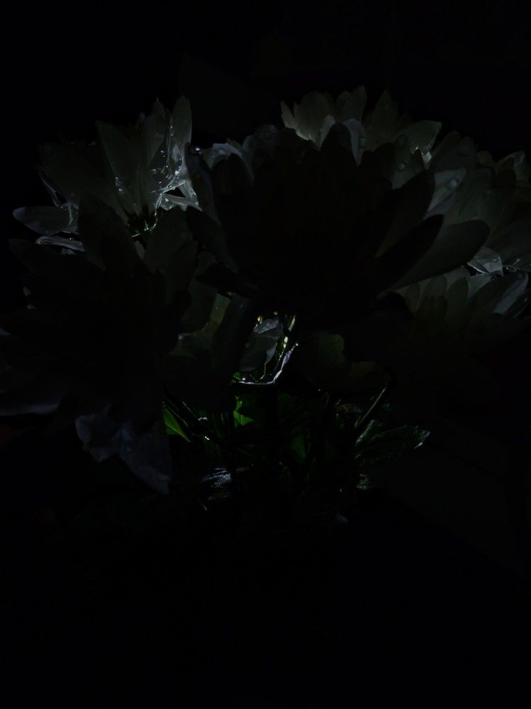 Photograph by Анна