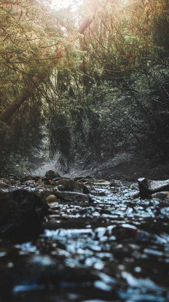 Photograph by Bohdan Nahirnyj