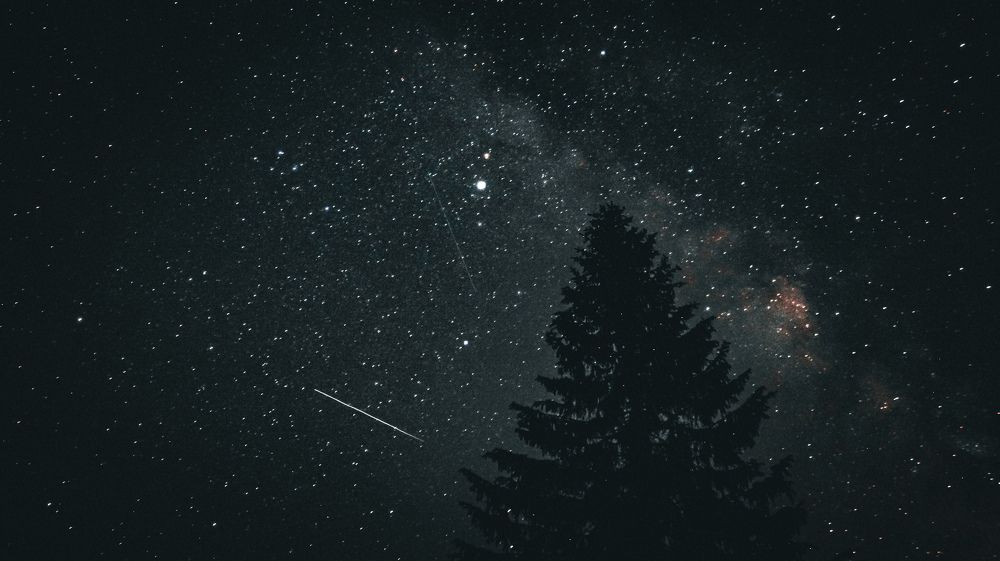 Photograph by Bohdan Nahirnyj