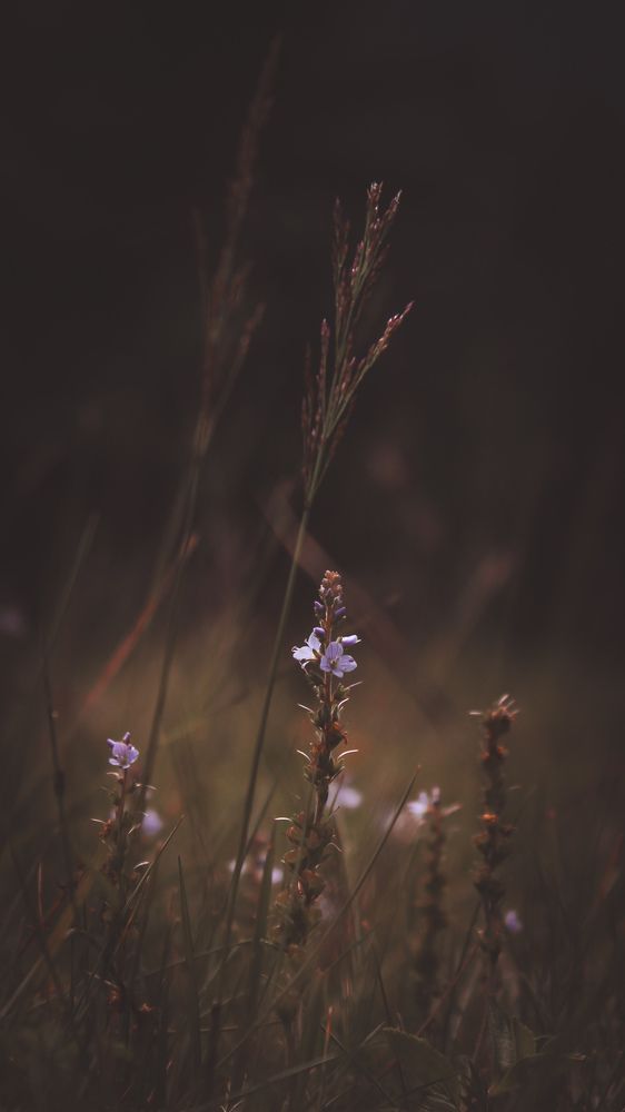 Photograph by Bohdan Nahirnyj