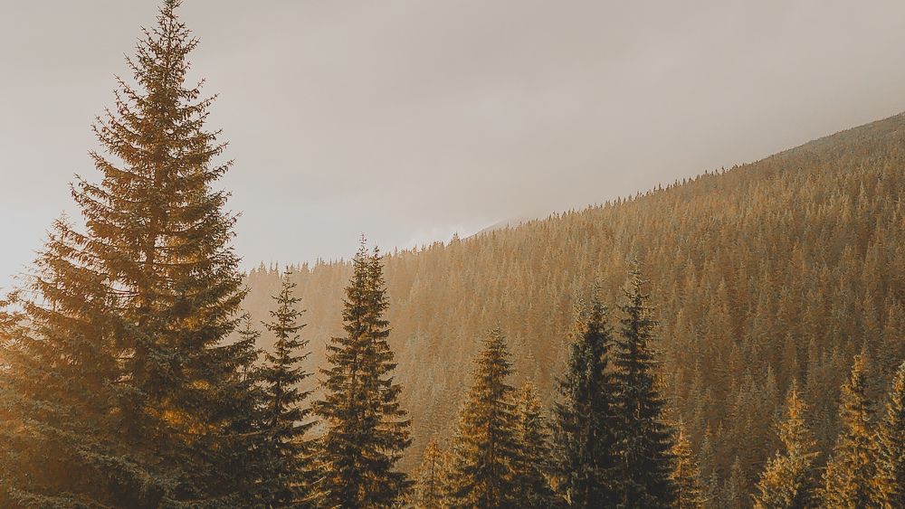 Photograph by Bohdan Nahirnyj