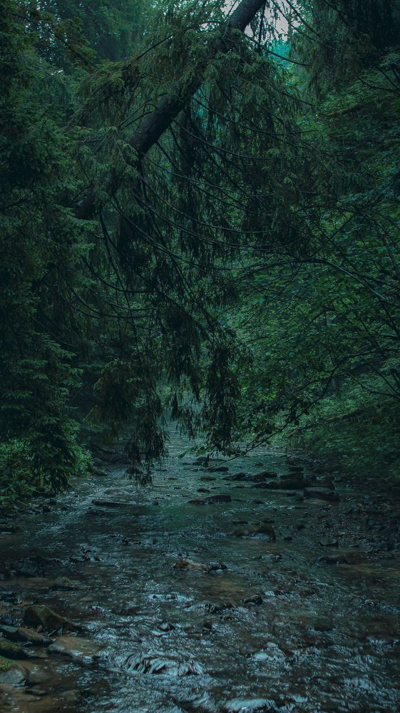 Photograph by Bohdan Nahirnyj