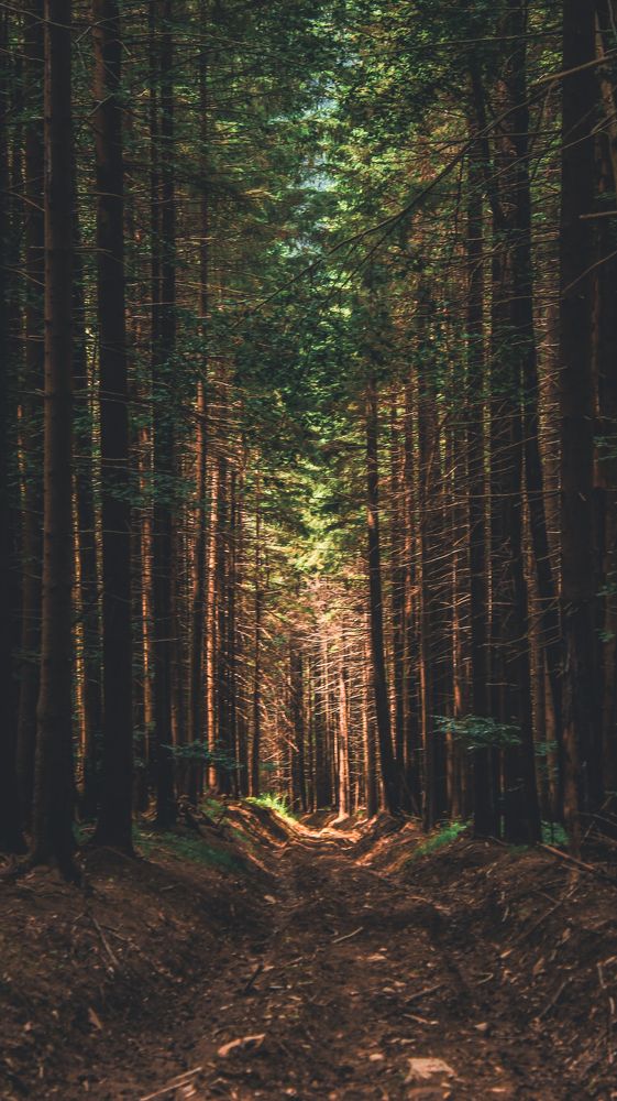 Photograph by Bohdan Nahirnyj