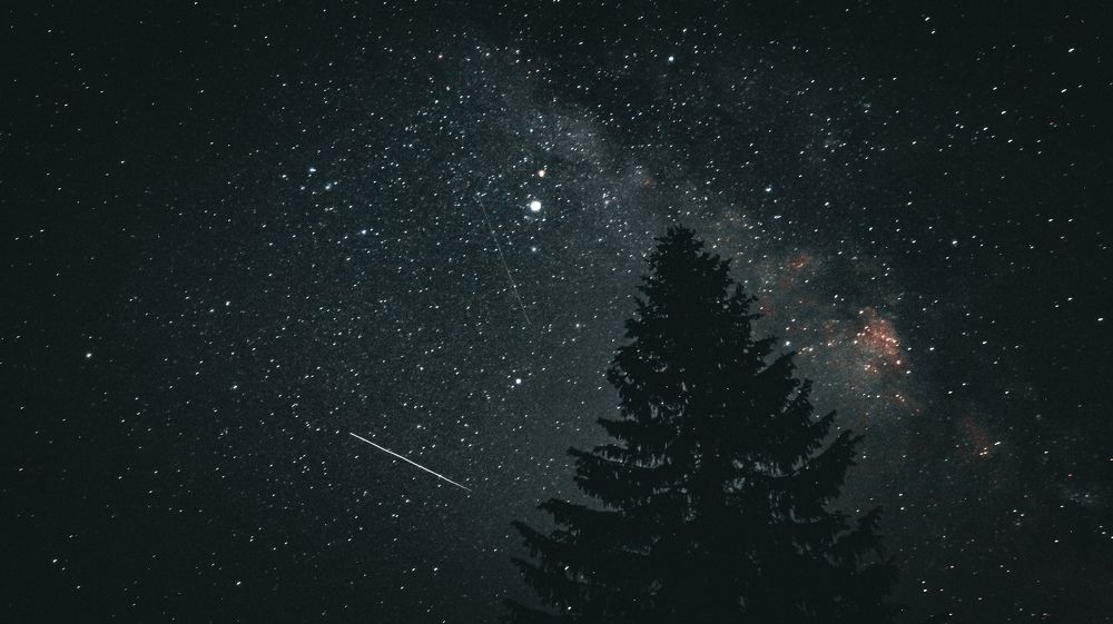 Photograph by Bohdan Nahirnyj