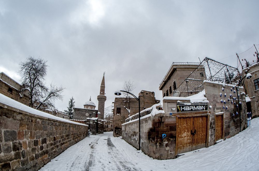 Photograph by DAMOUN POURNEMATI