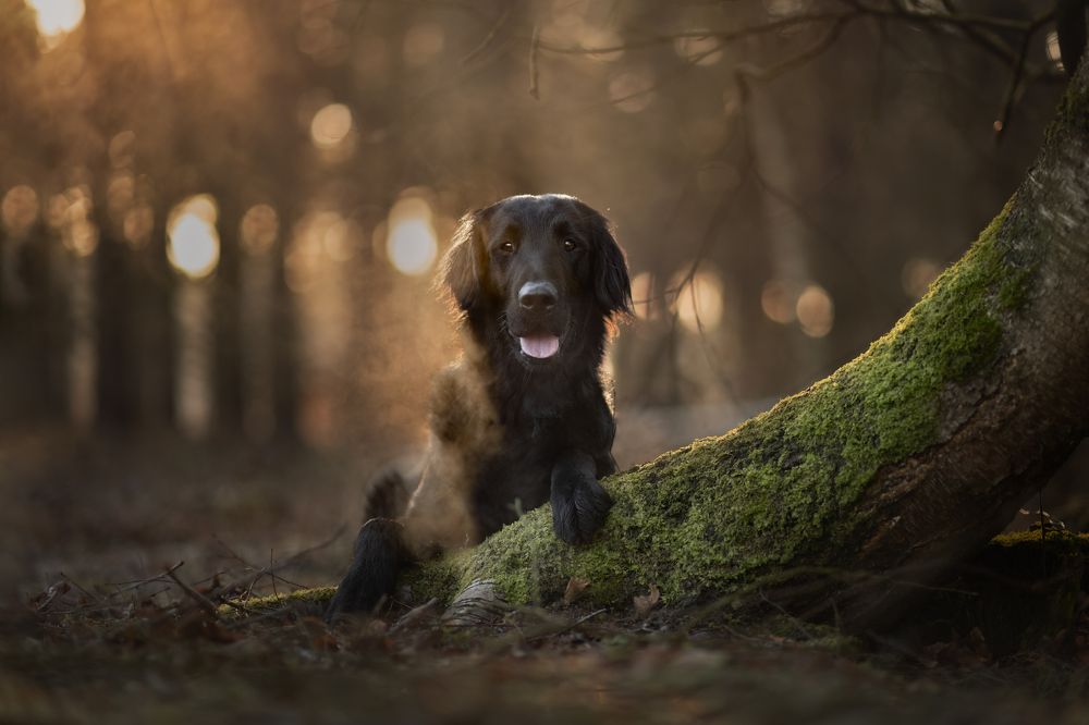 Photograph by By Meert Eline