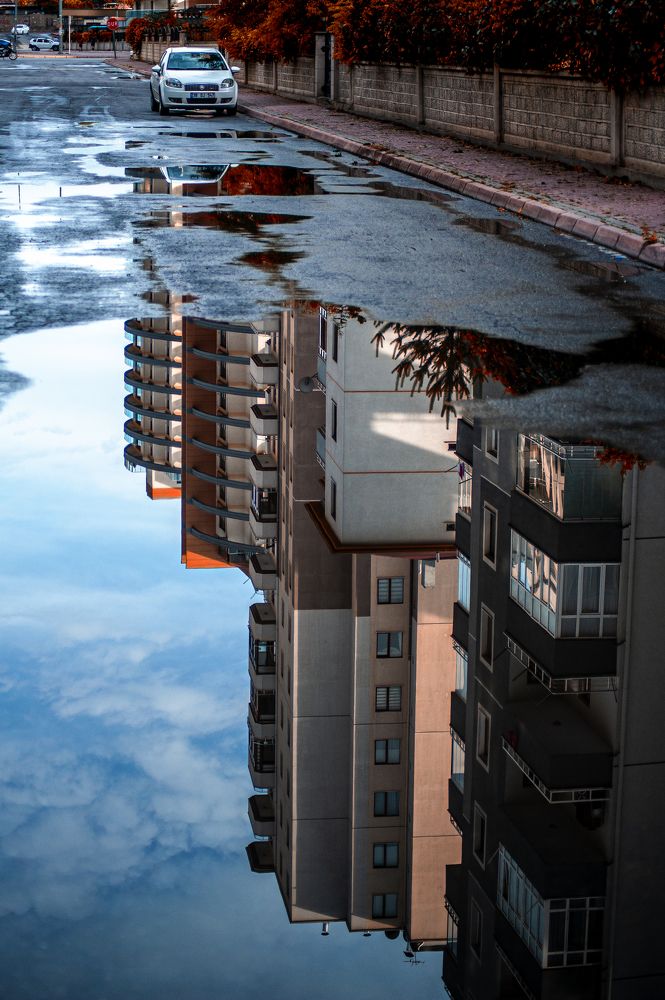 Photograph by DAMOUN POURNEMATI