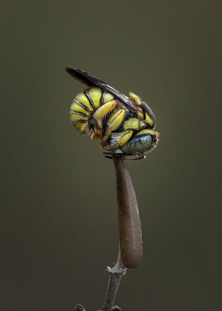 Photograph by Andrey Ostapenko