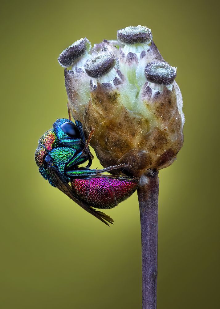 Photograph by Andrey Ostapenko