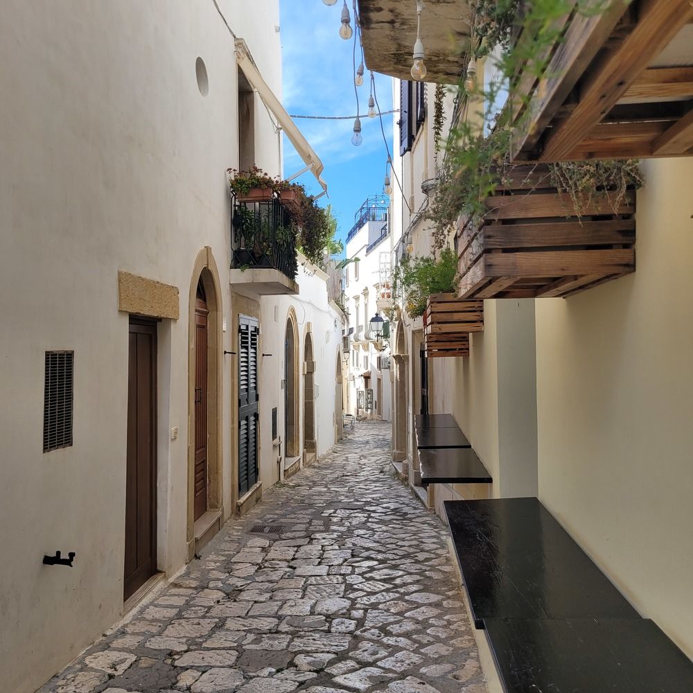 Photograph by Catherine