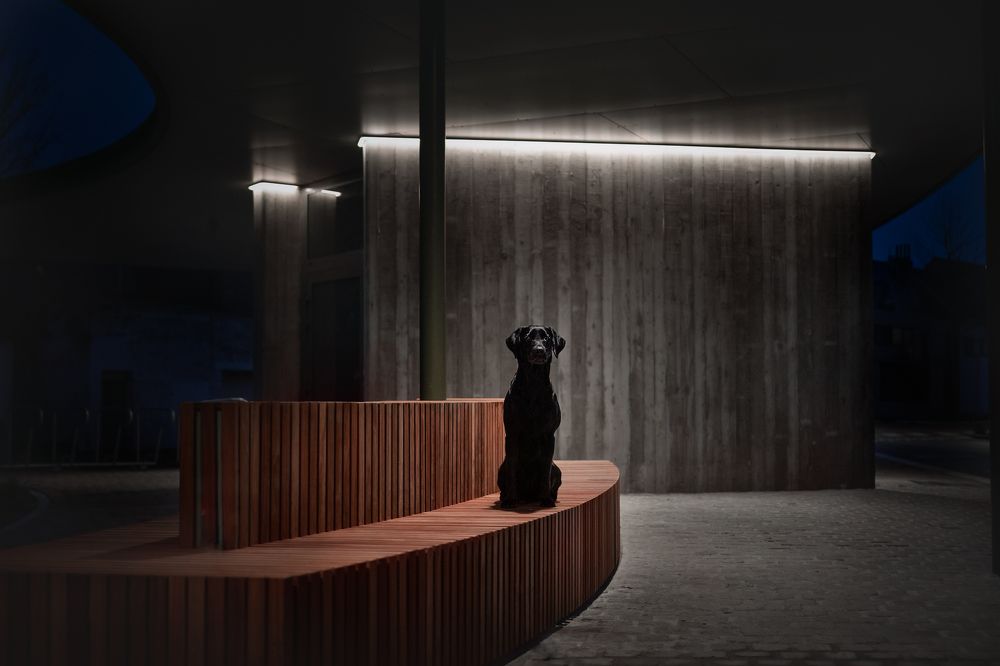 Фотография автора By Meert Eline