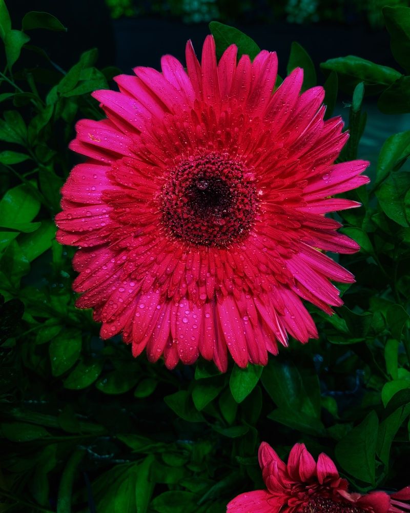 Photograph by Krunal PATEL