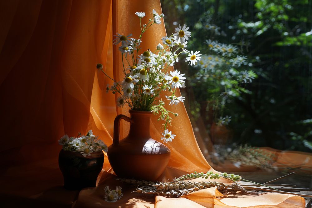 Photograph by Ольга Пуховникова