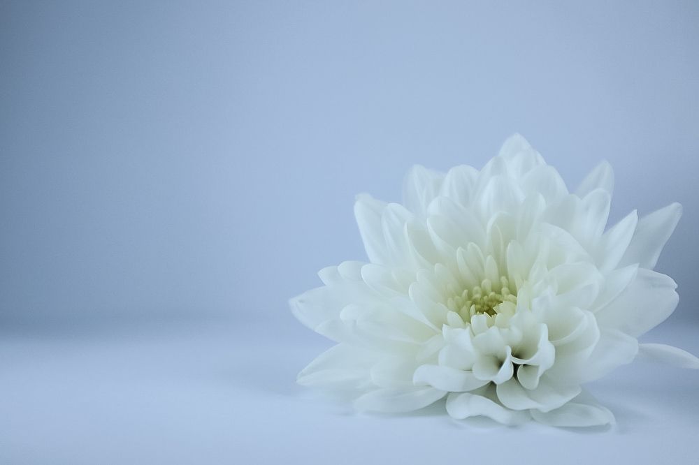 Photograph by Наталья Исаева