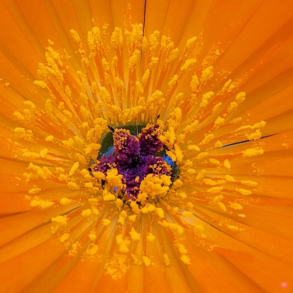 Photograph by Catherine