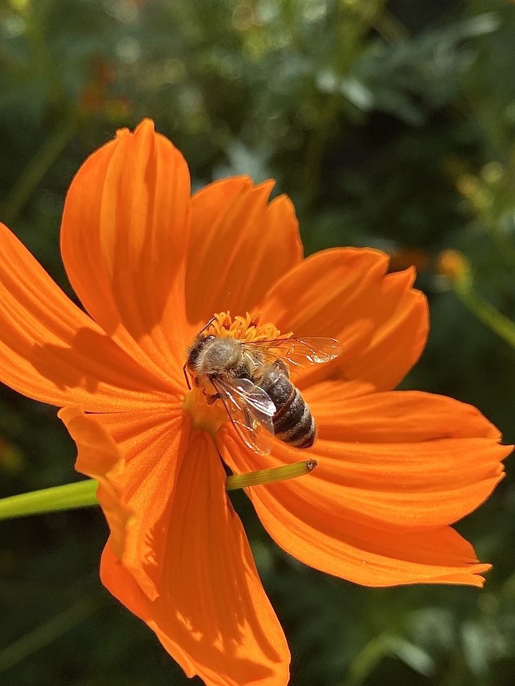 Photograph by Наталья Никитина