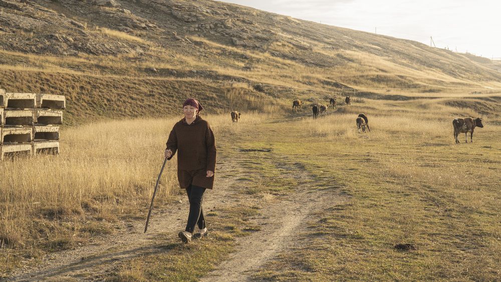 Photograph by Сергей Танков