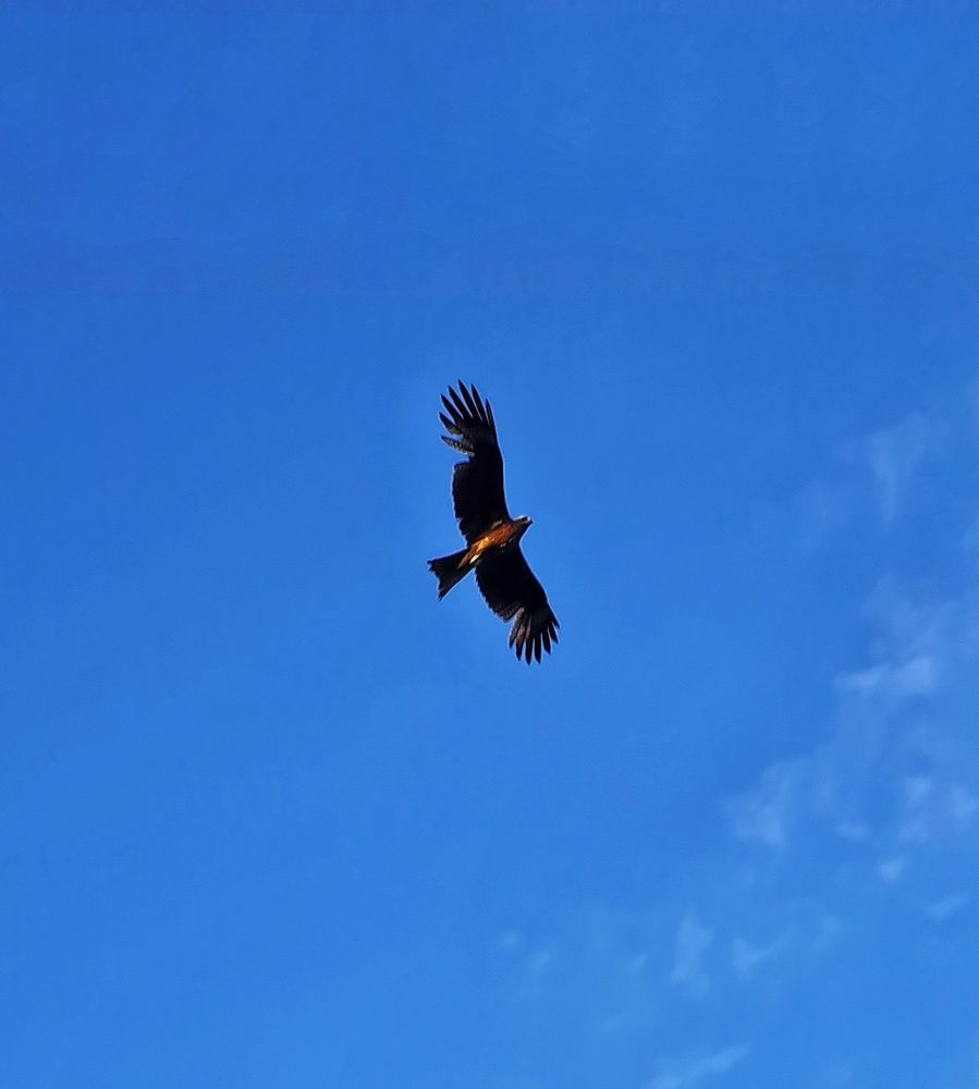 Photograph by Ольга Веселова