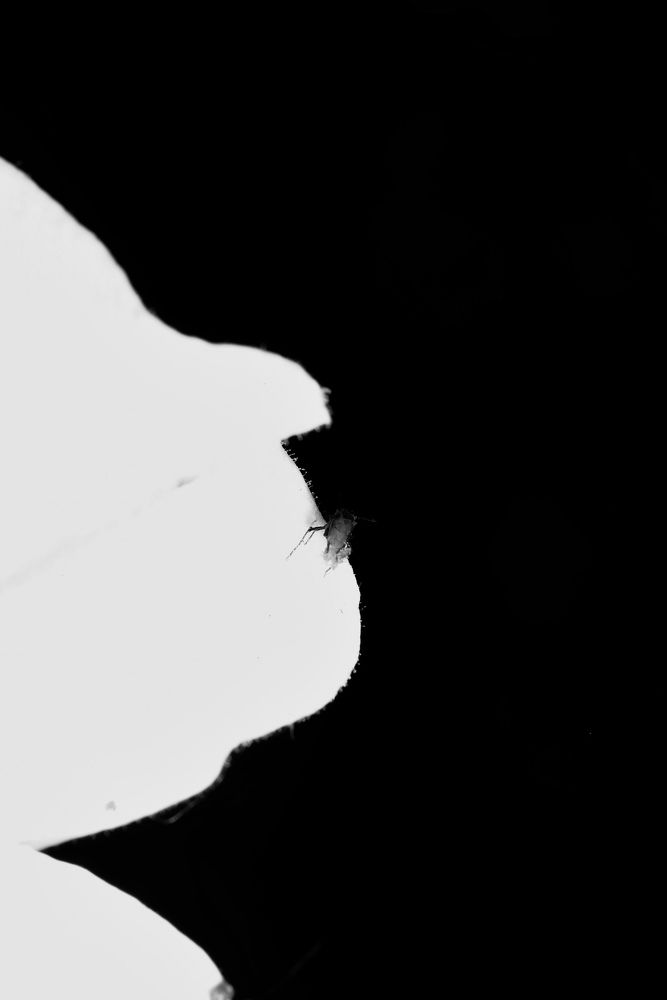 Photograph by Олег Китаев