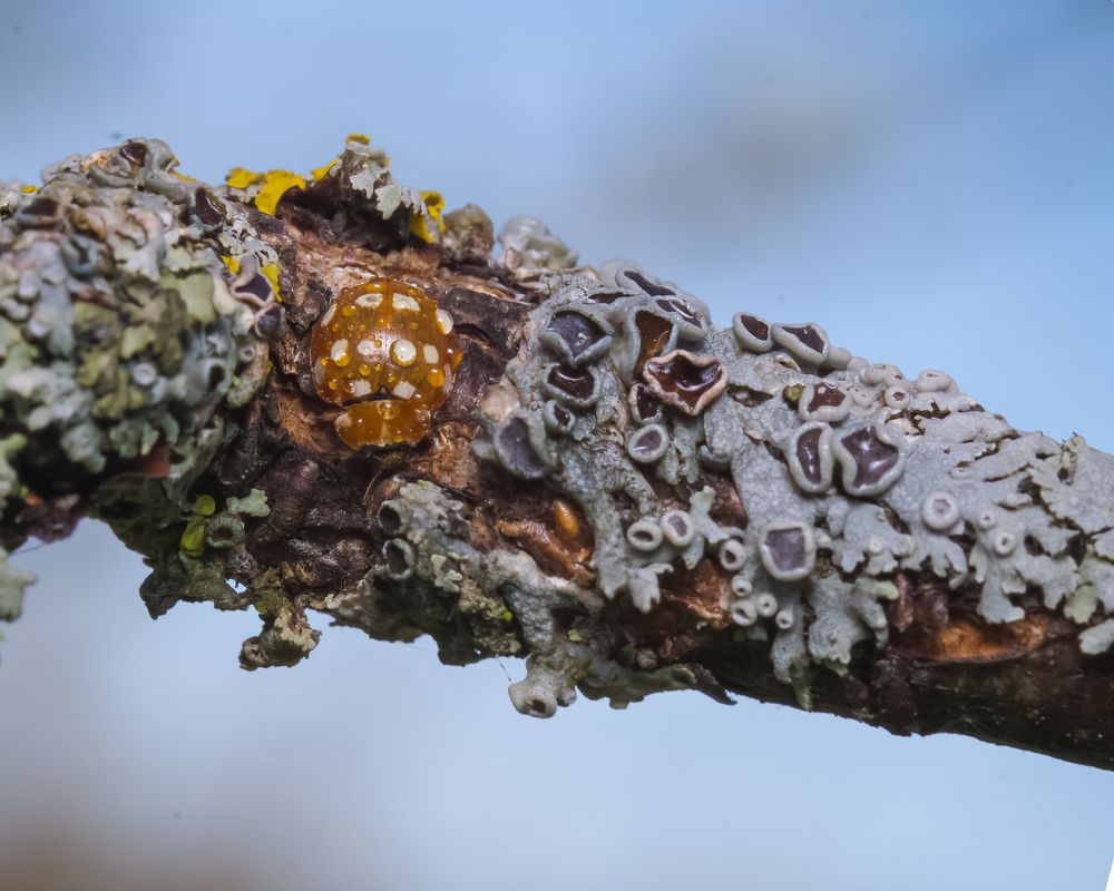 Photograph by Tatiana Grinko