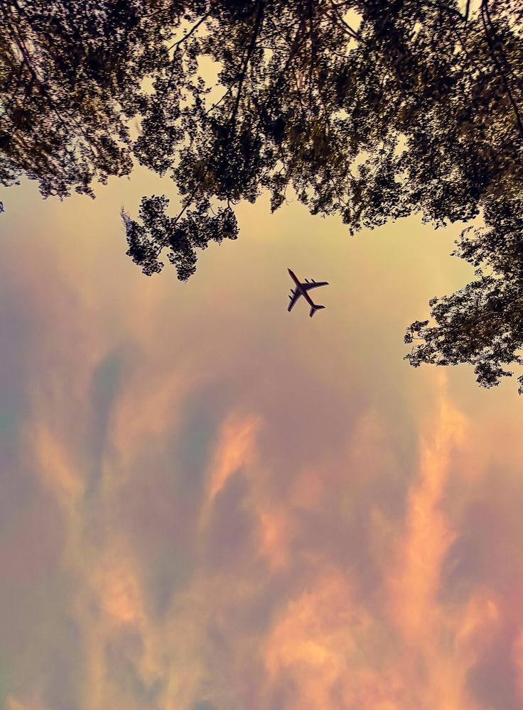 Photograph by Николай Яковлев