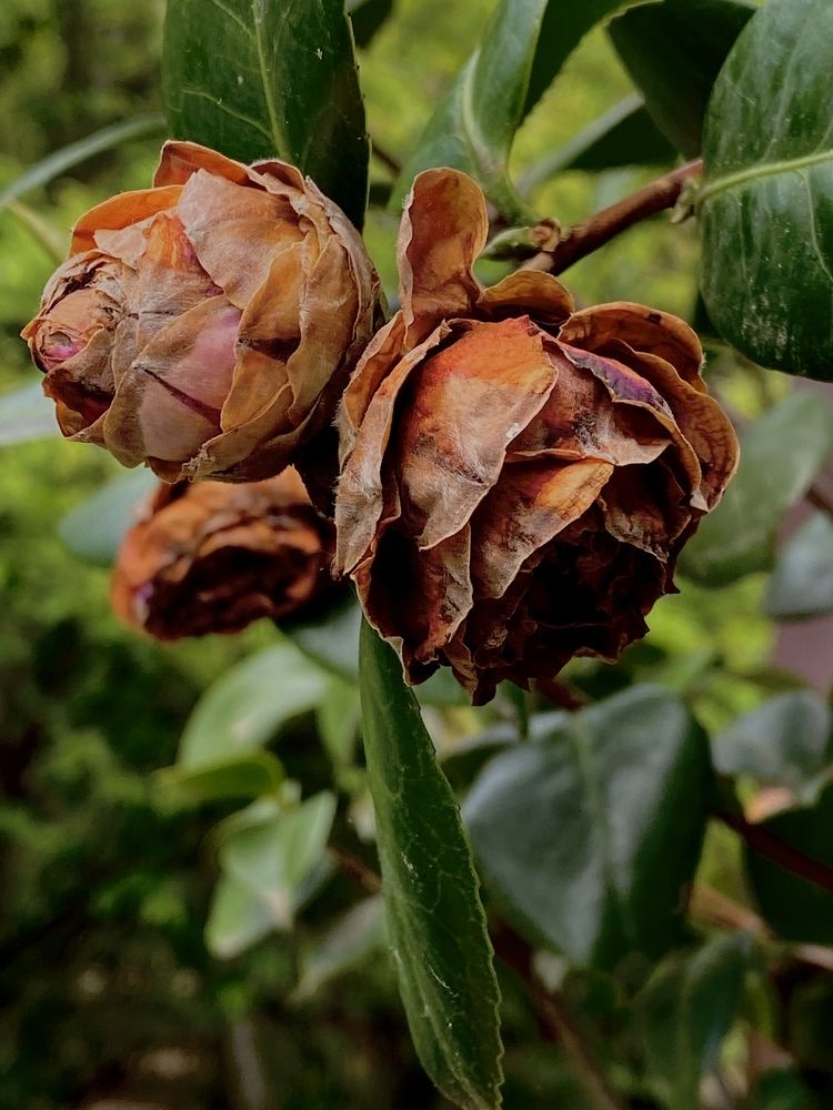 Photograph by Наталья Никитина